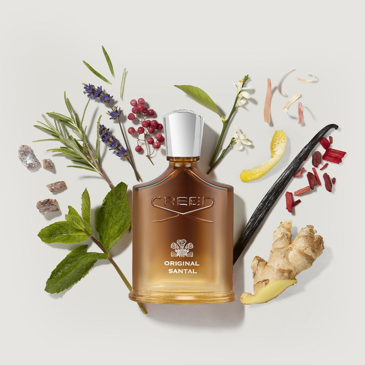 Original Santal 100ml fragrance notes